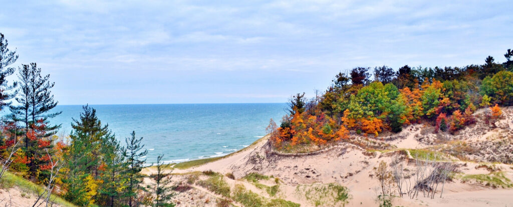 MLTA Title Agent and Associate Member Town Hall announced